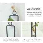 Hanging Hydroponic Plant Terrarium Glass Tube Planter Flower Pots Wall Decor