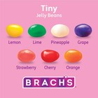 Brach s Tiny Jelly Beans  Springtime Easter Candy  14 Oz 14 Oz