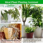 50ft 1 4 Inch Self Watering Capillary Wick Cord Vacation Plant Waterer Rope