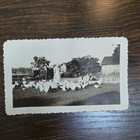 Vintage B w Photo Snapshot Of Older Woman Standing In Middle Of Chicken Field
