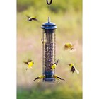 Brome Squirrel Solution 150 Squirrel-proof Bird Feeder  2 6lbs Seed Capacity