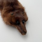 Vintage Tanned Mink Pelt Whole Furs Taxidermy