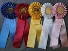 1st - 5th Flowing Mane Horse Show Ribbons Awards Equestrian Events 5 Classes