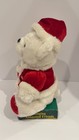 Dan Dee Christmas Bear Red Dreaming Of A White Christmas Moves Sings 12  Video