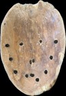 Antique Africa Lega Tribal Lukwakongo Bwami Mask Late 19th - Early 20th Century