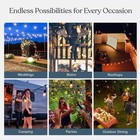 Solar Powered Outdoor String Lights  48ft