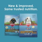 Kaytee Forti-diet Pro Health Nourish protect Adult Rabbit 5 Pound  pack Of 1  
