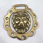 Brass Horse Medallion Antique English Lion 3d Head Jungle King Cat Pierced Show