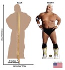 Wwe Wwf Dusty Rhodes The American Dream Wrestler Lifesize Standup Standee Cutout