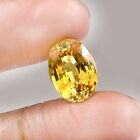 Aaa Natural Flawless Ceylon Yellow Sapphire Loose Oval Gemstone Cut 14x10 Mm