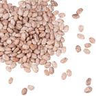 Pinto Beans Dry Frijoles Pintos  bulk Size Lots  1 3 5 10 20  Lbs Pantry Non-gmo