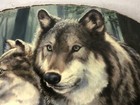 Vintage Wood Slice Art Wolf Wolves Rocky Mt National Park Wall Plaque 21   x14   