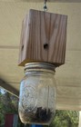 Pawpaw   s Handmade Carpenter Bee   Boring Bee Traps