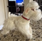1950s Steiff  snobby  White Mohair Poodle Jointed Germany Snobby Dog 5 