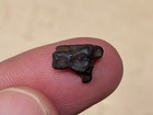 Odessa Texas Iab Iron Meteorite Tiny Complete Individual 1 064 Grams
