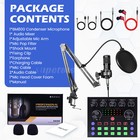 Complete Studio Recording Kit Mixer Condenser Microphone Music Podcast Earphone