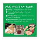 Organic Catnip  Safe Premium Blend Perfect For Cats  Instilled     Fast Usa Ship