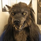 New Best Werewolf Costume Party Mask Halloween Animal Headwear Costume Wolf Face
