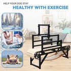Bowwowtread Dog Treadmill Perfect For Medium Large Dogs New  