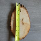 Unicorn Souvenir Wood Plaque Slab Unicorns Fantasy Mom Baby Mark Twain Home