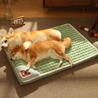 Warm Winter Dogs Mat Large Dog Deep Sleeping Bed Kennel Pad Cat Bed With Pillow