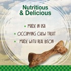 Healthy Edibles Wild Natural Long-lasting Bison Flavor Bone Chew Treats For Dogs