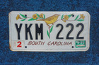 1995 South Carolina Yellow Bird License Plate- Carolina Wren - Jessamine Flowers
