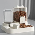 Dog Cat Feeder Food Bowl With Water Fountain Large Capacity Pet Storage Dispense