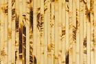 4 x8ft Bamboo Paneling Wainscoting Yellow Tortoise 4tiki Bar Hut Wall   Ceiling