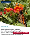 Burpee Wildflower 25 000 Bulk  1 Bag 18 Varieties Of Non-gmo Flower Seeds For Hu