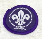 Boy Scout International Badge   Patch Purple