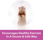 7  Clear Run-about Exercise Ball For Pet Hamsters   Gerbils