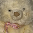 Ln Creampuff Bear Russ Plush Stuffed Beige Animal Teddy Brown Nose 10    Free      