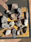     rr        18 Triassic Fossil Scutes bones  Pre-dino  Ne Az  1 5 Lb     