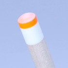 Tiger Icebreaker  Jump Break Cue Tip
