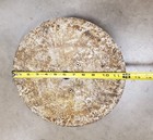 Delta Rockwell  Disc Sander   12   Inch  Diameter  