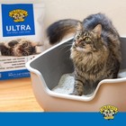 Dr  Elsey s Ultra Unscented Clumping Clay Cat Litter 40 Lb  Bag
