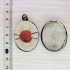 Reliquary   Relic   holy Veil Of The Virgin Mary   6 Saints