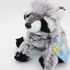  flaw  Ganz Webkinz Raccoon Plush Hm143 2006 Sealed Code Retired Vintage