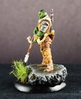 Pro Painted Not Reaper Miniature -  Wizkidz - Ogre Ranger - You re Targeted