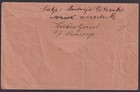 Bosnia  1l20 1918 Bosnian Girl 20h On Censored Cover To Mostar
