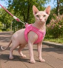 Pink Cat Harness And Leash Set For Small Dogs   Kitties Cute Easy On Easy Off