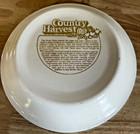 Vintage Royal China 1983 Peanut Butter Pie Plate country Harvest recipe elephant