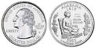 Alabama Quarter Bear By Limited Treasures    Our Last Ones