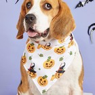2 Pcs Halloween Dog Bandanas Pumpkin Bat Ghost Theme Pattern Bandanas
