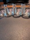 New Fireball Cinnamon Whiskey Shot Glass Set  4  Clear Red Fire Breathing Dragon