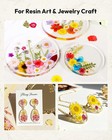 Dried Flowers  Resiners 100pcs Pressed Flowers For Craft Purple Real Natural Dri