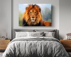 Lion Blue Eyes Canvas Print Wild Animals Art Home D  cor Wall