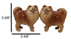 Ebros Pom Pom Golden Groomed Pomeranian Attractives Magnetic Salt Pepper Shakers