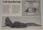 F-15e Dual Role Eagle Jet Fighter Aircraft  2-sided Color Now Flying Epic Fury